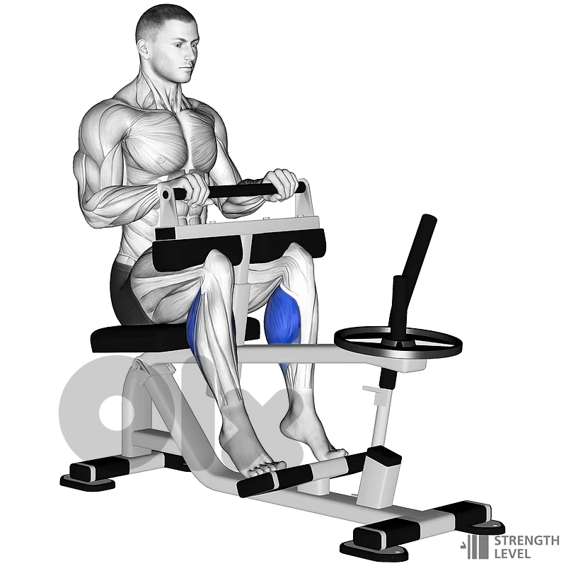 Seated Calf Raise Machine with Weights 4x10Kg and 2x5Kg