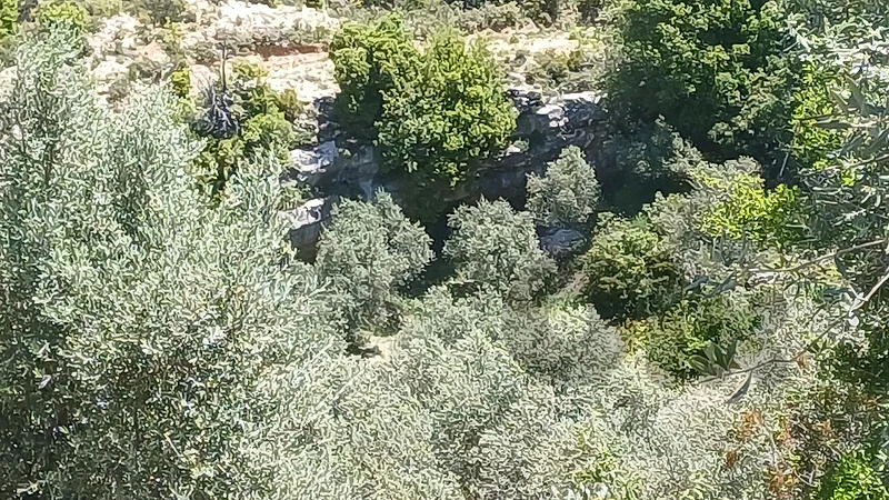lands for sale in Douma  أرض "لقطة" للبيع في دوما