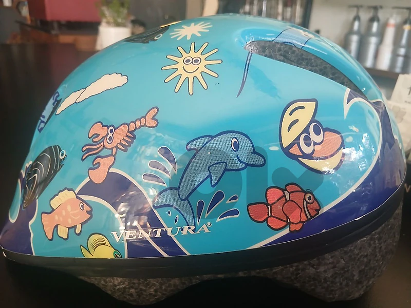 helmet