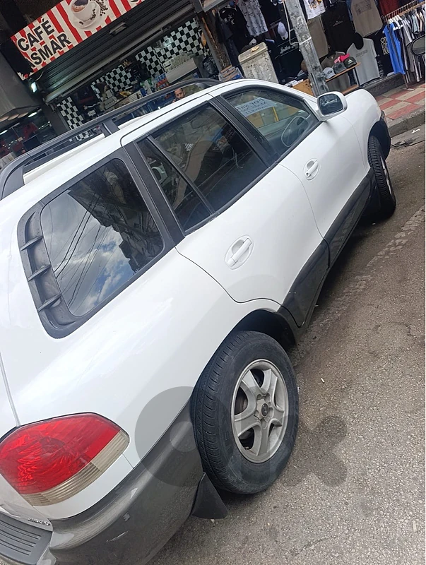 Hyundai Santa Fe 2001 FE white Hyundai Santa Fe 2001 FE white