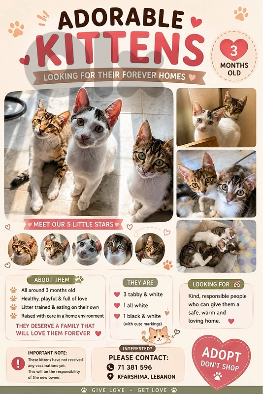 for adoption