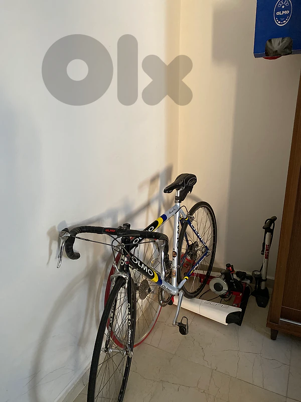 olmo racing team