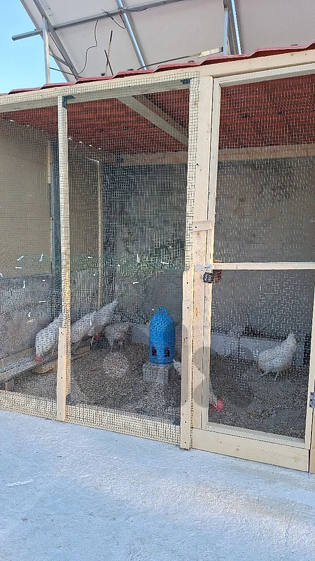 صور برج الشمالي