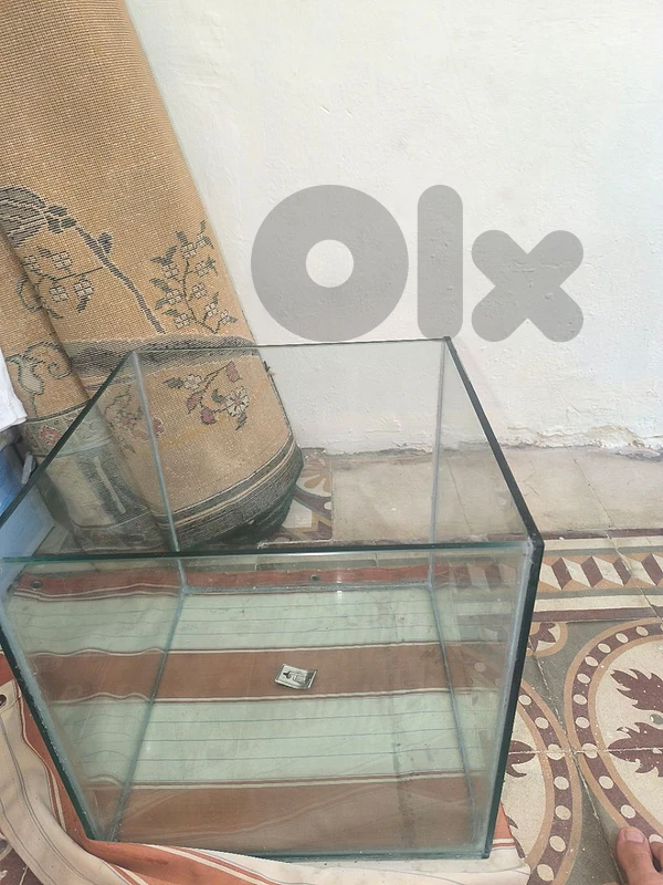 fish aquarium 40x40x40