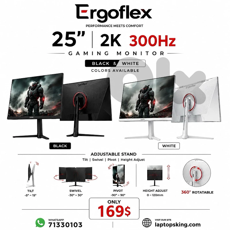Ergoflex 25-inch 2K 300Hz Gaming Monitor