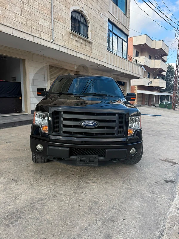 Ford F150/Raptor 2012 2012