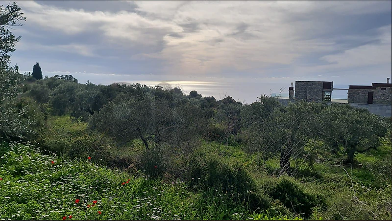 Land for sale in Mrah Chedid (Smar Jbeil) 25-50 with sea view
