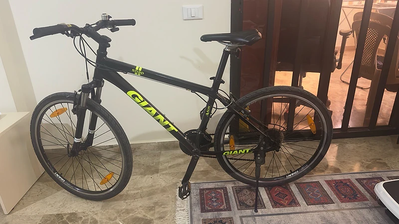 Bicycle Giant Snap