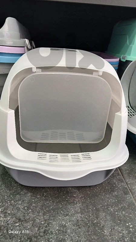 Cat enclosed letter box