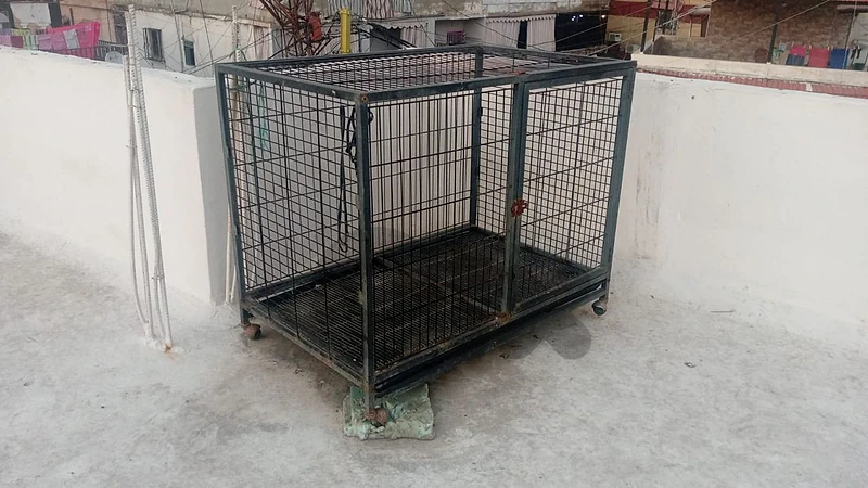 dog crate cage