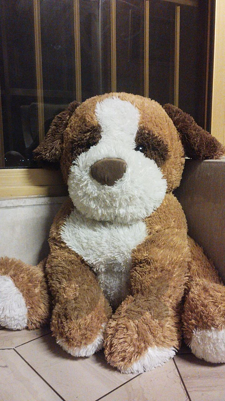 dog plushie