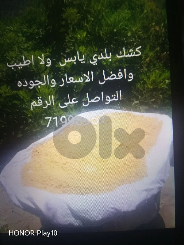 أفقا د