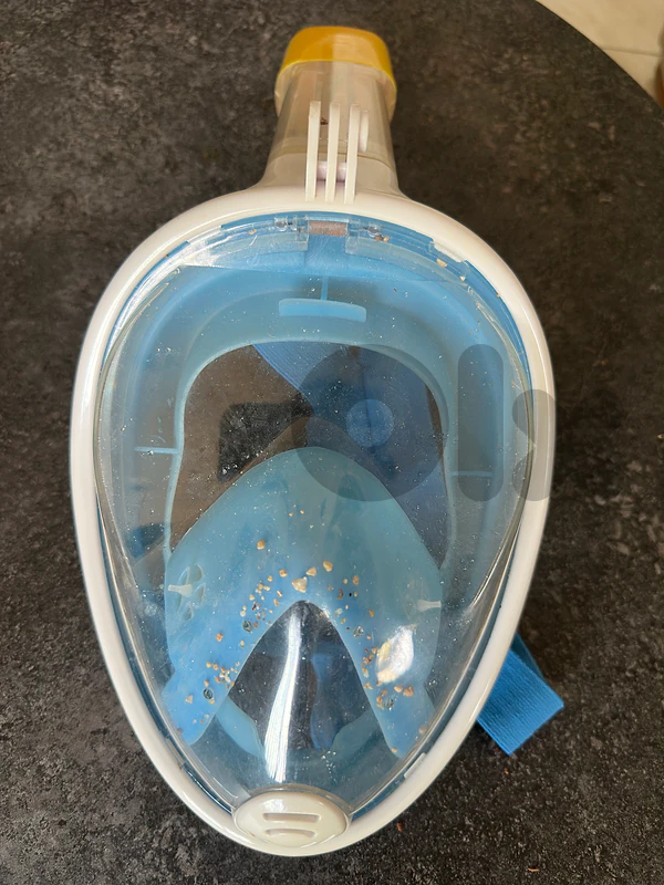 professional diving mask