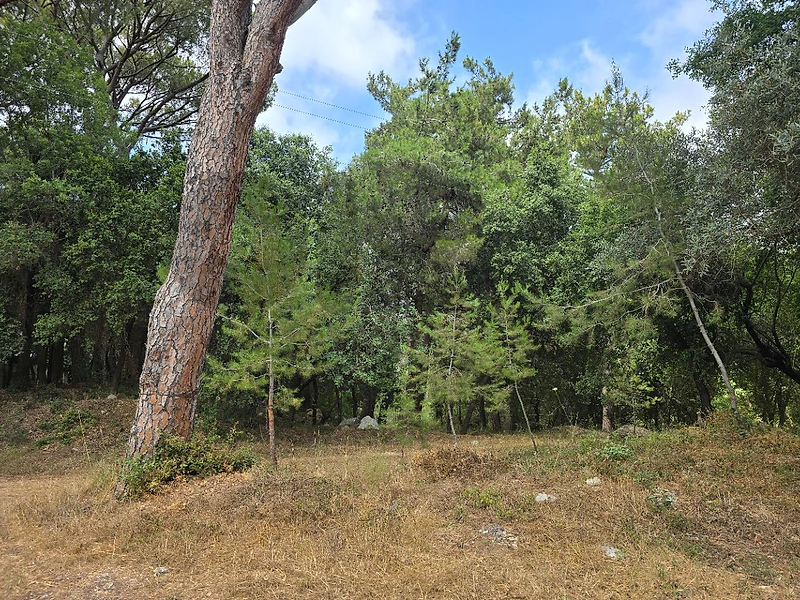 Land for sale - Baabdat