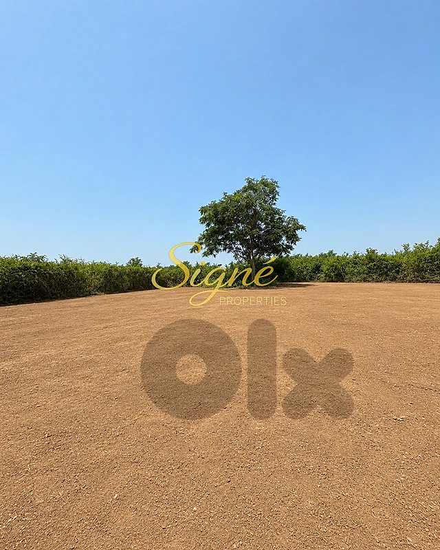 Land for Rent – Nahr El Mott – SGAN112