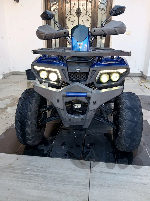 الجنوب . برعشيت الجنوب . برعشيت