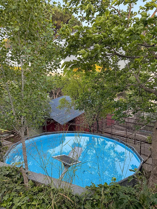 pool intex 16000 L /19000L