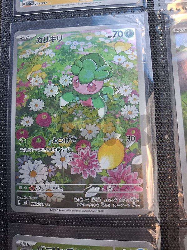 Japanese Pokémon bundle (ALL REAL)
