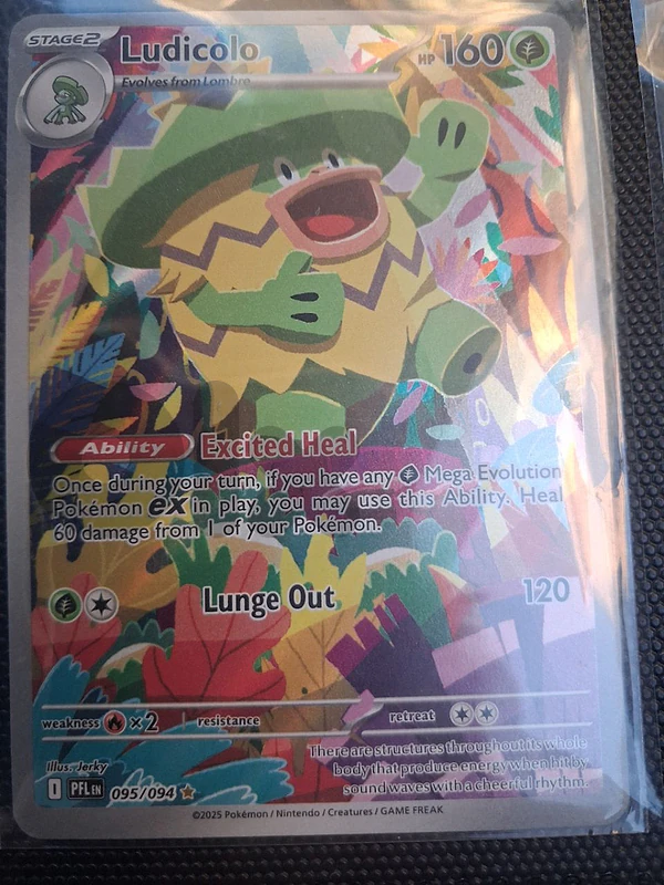 1 Card (REAL)