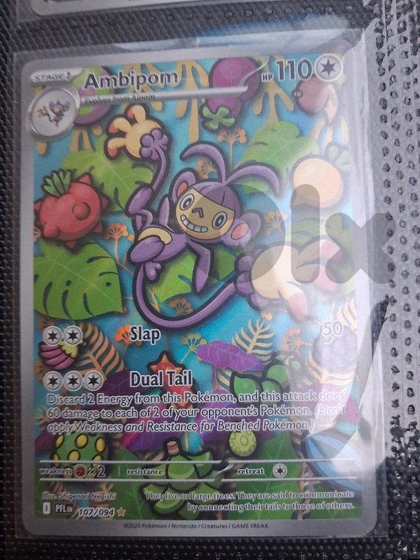 1 Card (REAL)