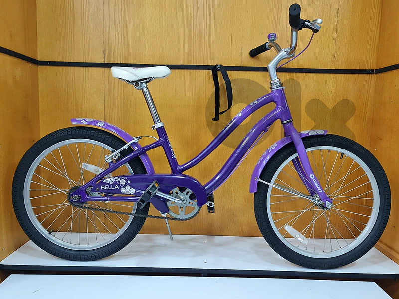 GIANT Kids Bike