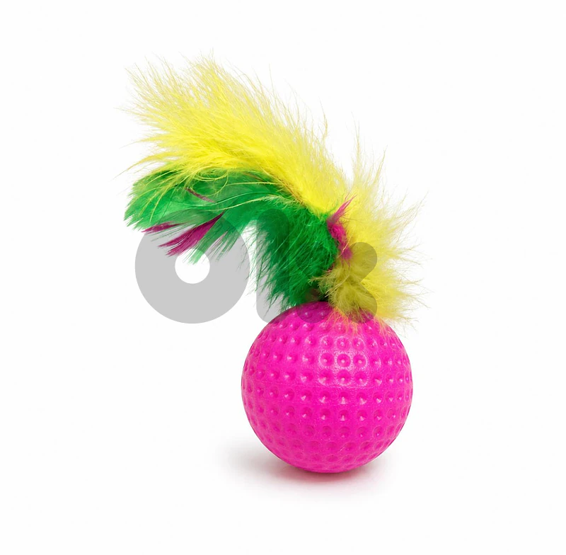 Cat Ball Toy