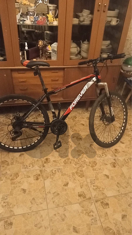 forever bicycle