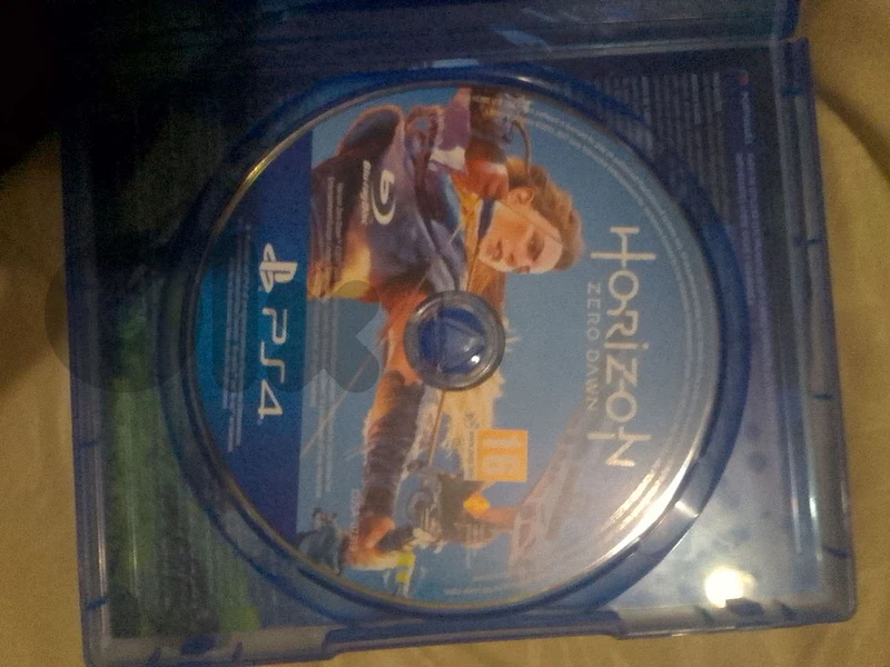 horizon zero down