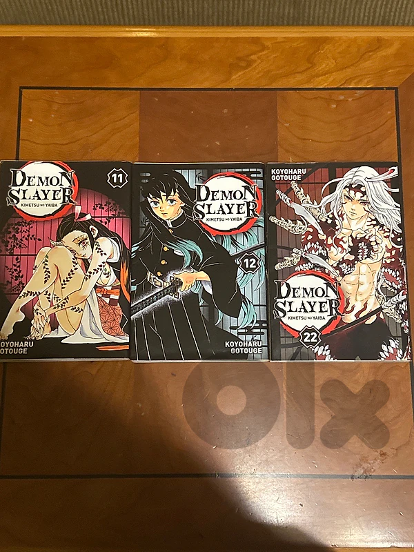 semon slayer tome 11-12-22