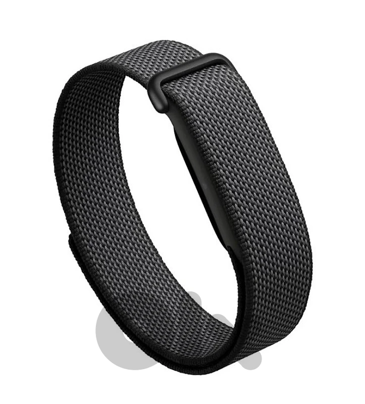 google fitbit air