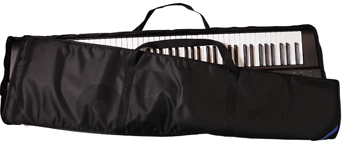 RT1 soft padded case for Medeli SP201