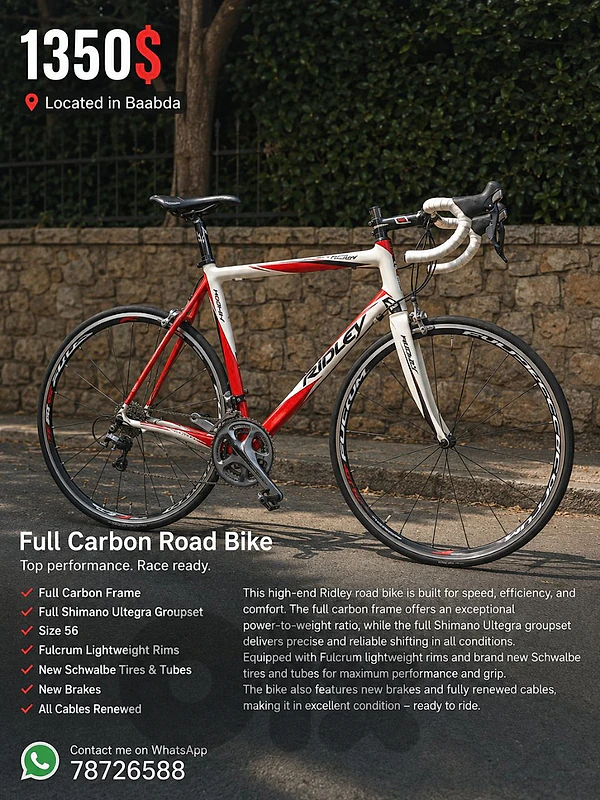 Bicycle ridely full carbon