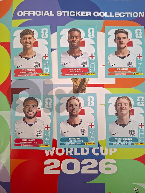 panini cards