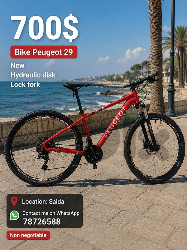 Bicycle 29"