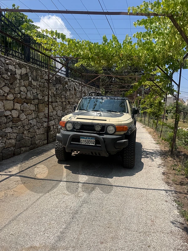 Toyota FJ Cruiser 2010 trd 2010