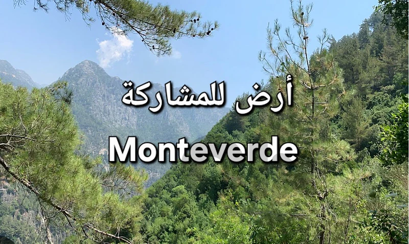 ارض للبيع او مشاركة منتفردي land for sale Monteverde