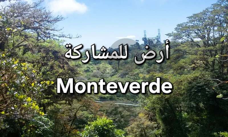 Land for sale Monteverde ارض للبيع او للمشاركة منتفردي