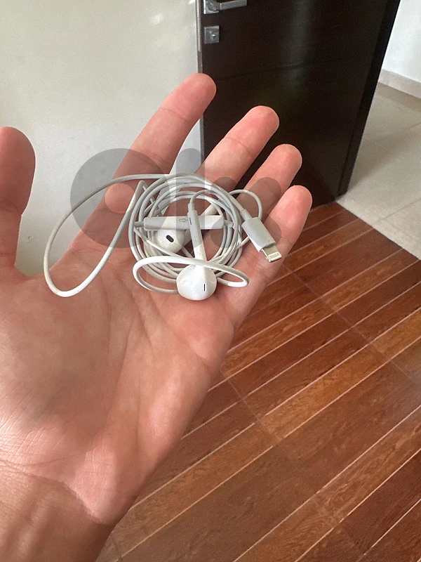 earphones