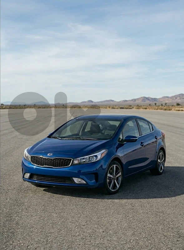 cars fof rent with delivery