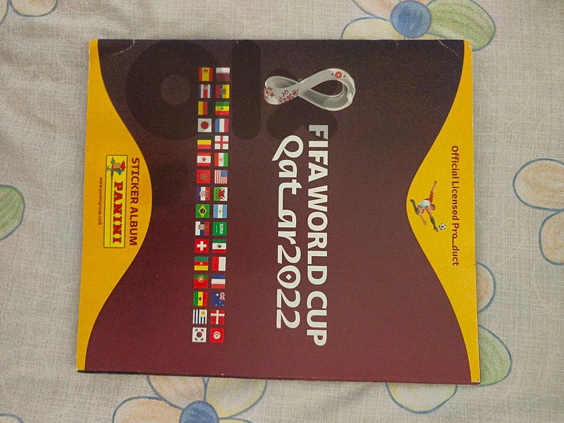 panini 2022 album