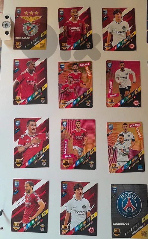 24 Panini Football Cards for only $9