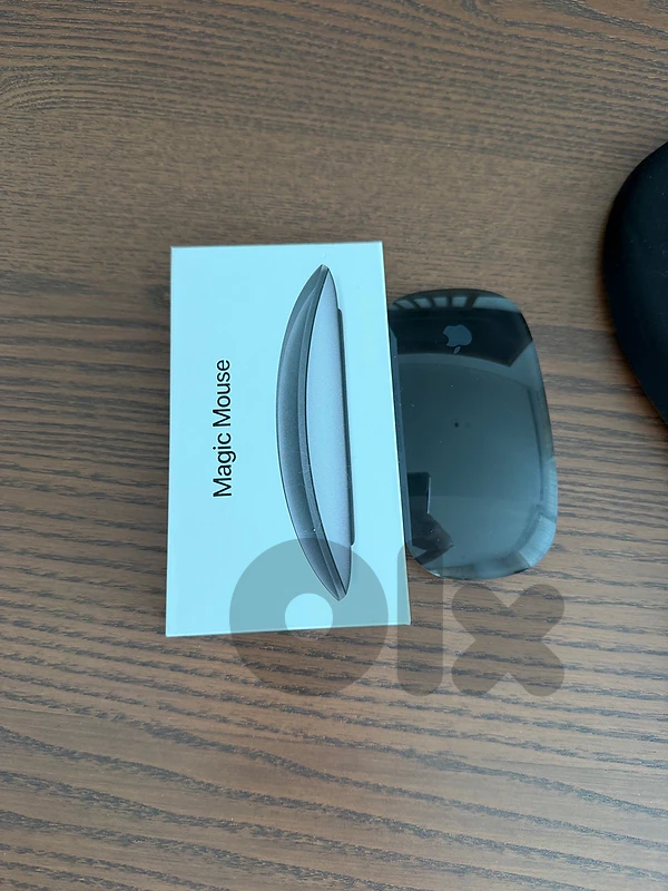apple magic mouse