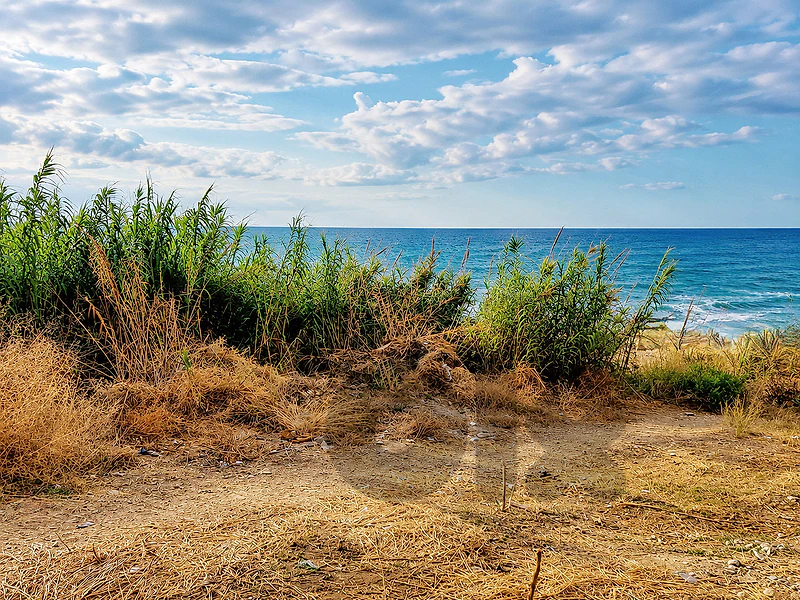Rare Nahr Ibrahim Beachfront Land - أرض شاطئية نادرة في نهر إبراهيم