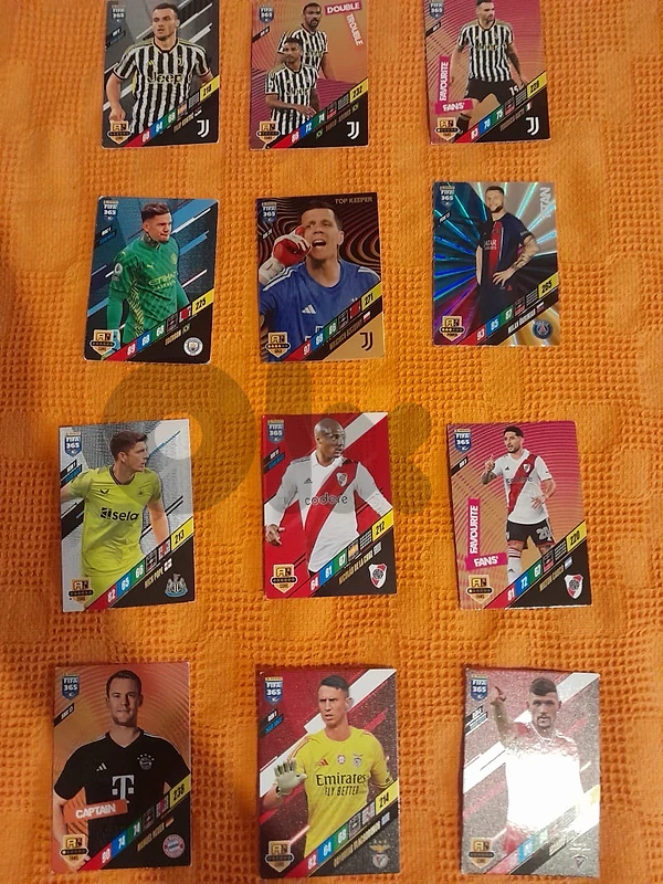 24 Panini Football Cards