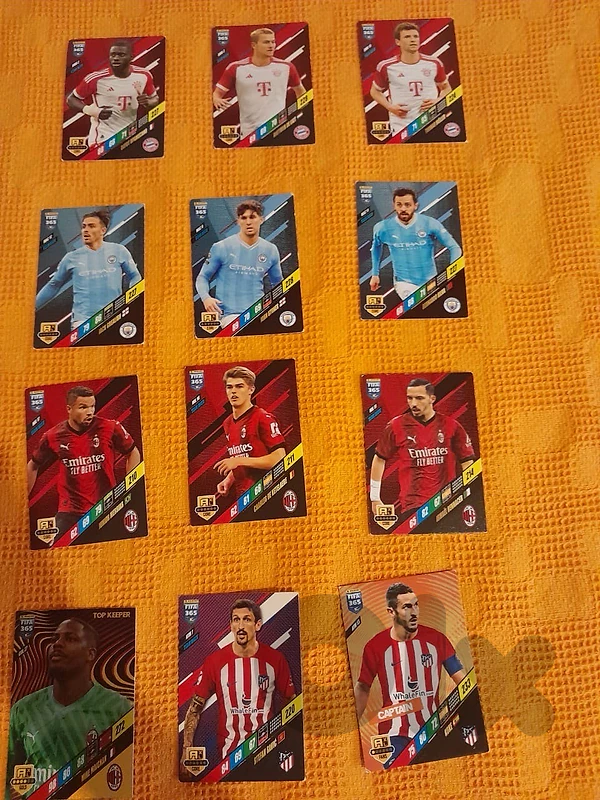 24 Panini Football Cards