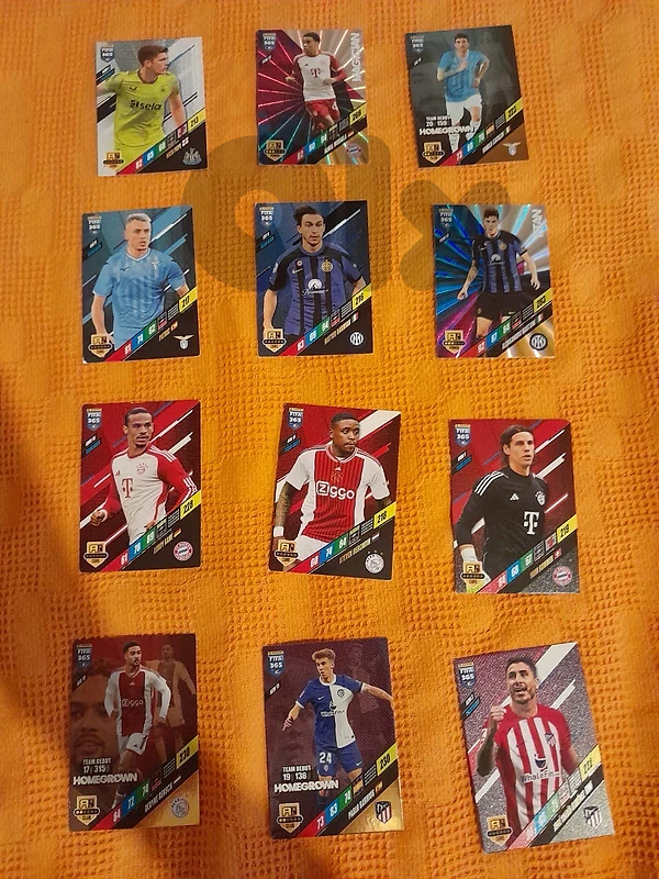 24 Panini Football Cards