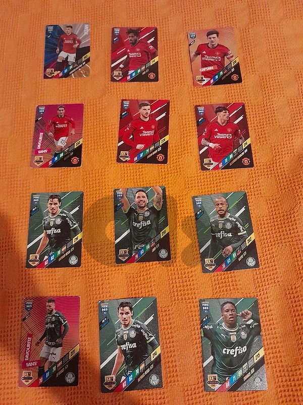 24 Panini Football Cards