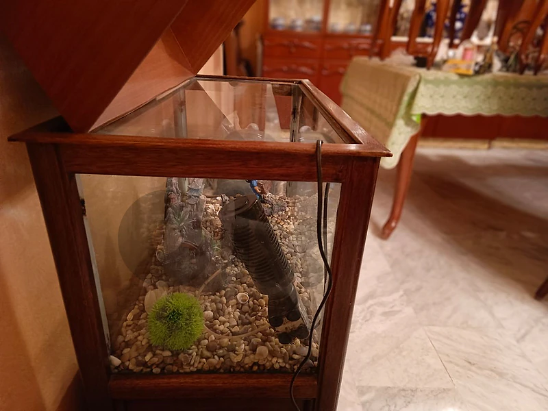 aquarium