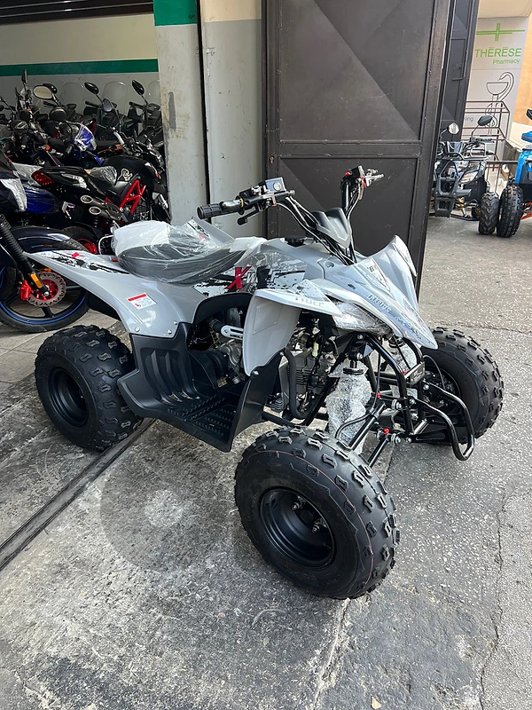 ATV Xwolf 110