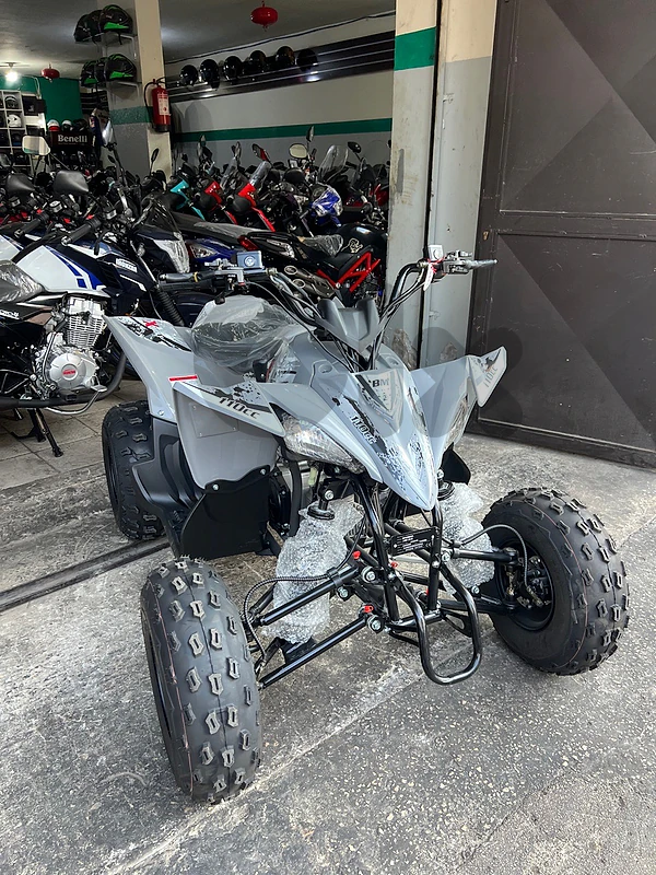 ATV Xwolf 110